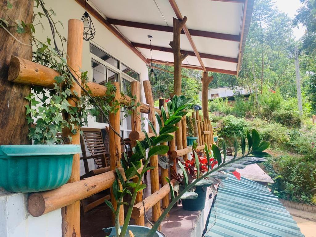 Ella Forest Eco View Εξωτερικό φωτογραφία