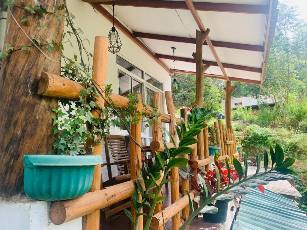 Ella Forest Eco View Εξωτερικό φωτογραφία